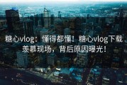 糖心vlog：懂得都懂！糖心vlog下载羡慕现场，背后原因曝光！