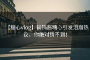 【糖心vlog】锅锅酱糖心引发泪崩热议，你绝对猜不到！