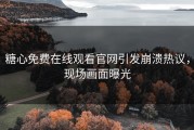 糖心免费在线观看官网引发崩溃热议，现场画面曝光